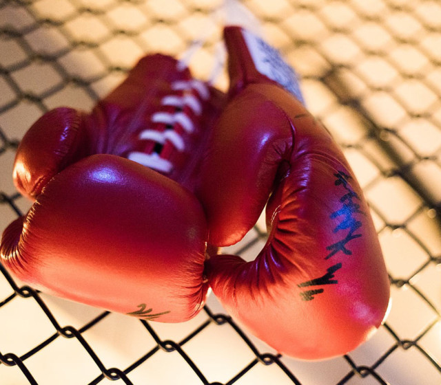 home boxing gym