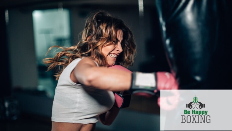 Boxing Punching Bag