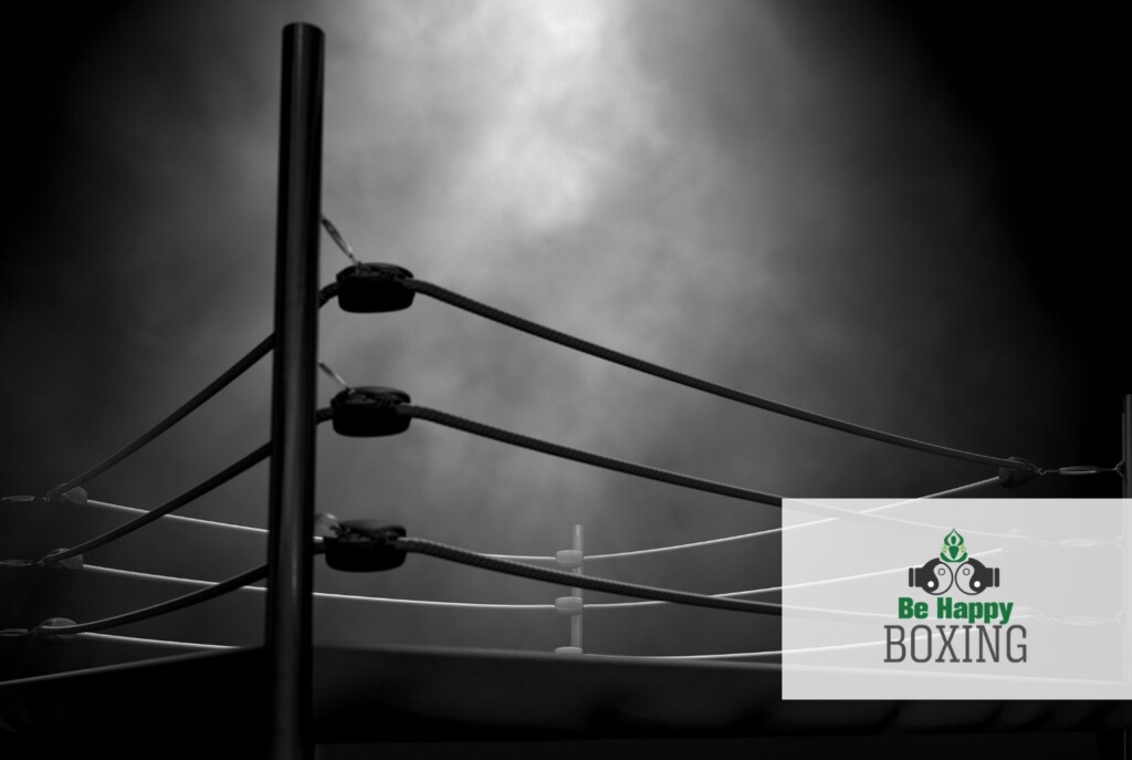 boxing games online