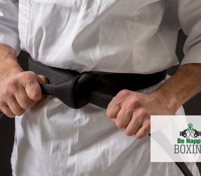 karate vs boxing