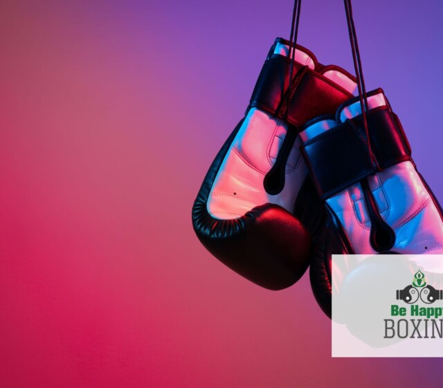 Can you put boxing gloves in the washing machine