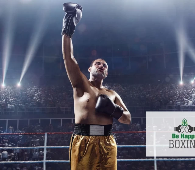 title-boxing-belts