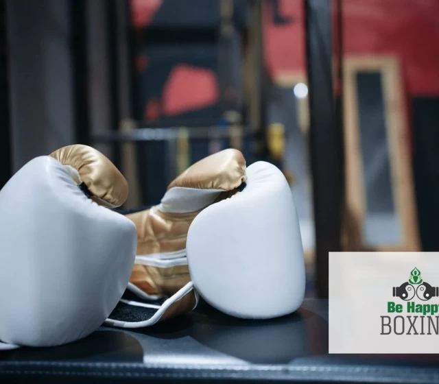 first-boxing-gloves