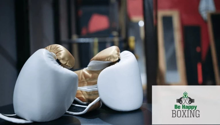 first-boxing-gloves