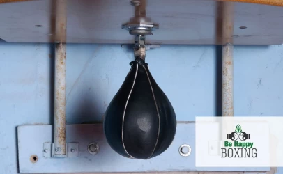 boxing bag speed bag