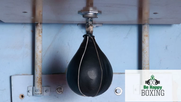 boxing bag speed bag