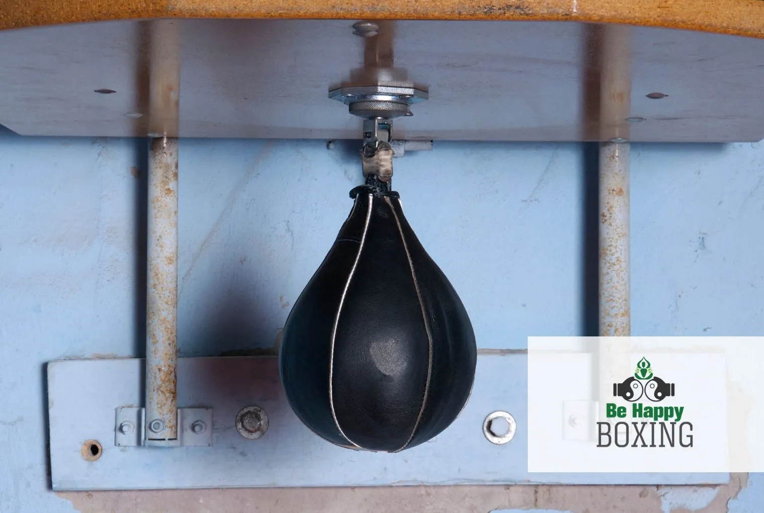 boxing bag speed bag