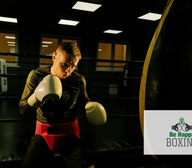 is boxing a martial art