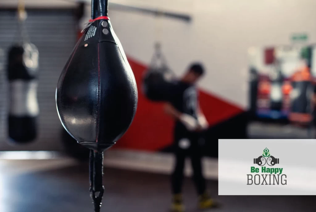 speed bags