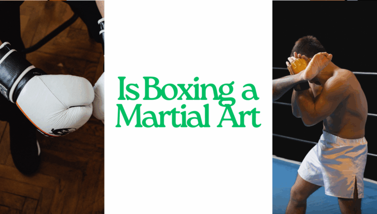 is boxing a martial art