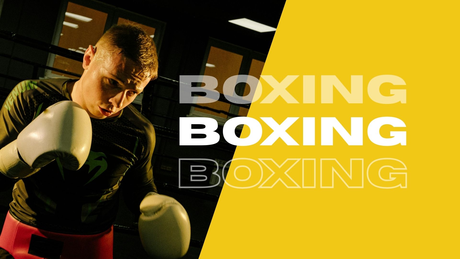 Types of Boxing Bags